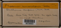 Image Associated With the Occurence